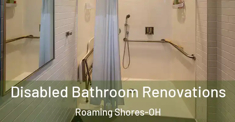 inner Bathroom imggen Disabled Bathroom Renovations Roaming Shores-OH