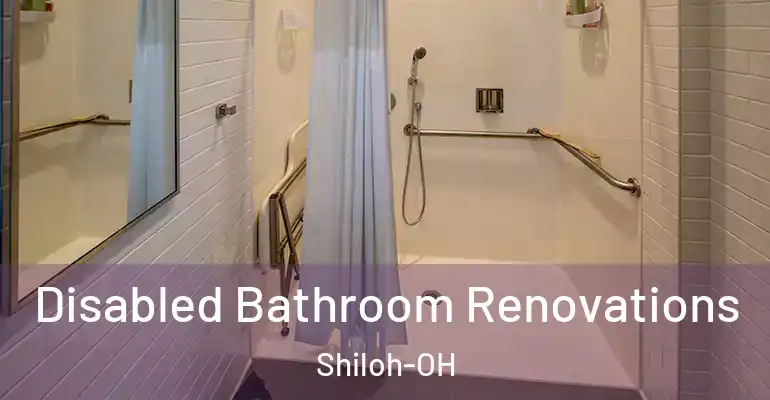 inner Bathroom imggen Disabled Bathroom Renovations Shiloh-OH