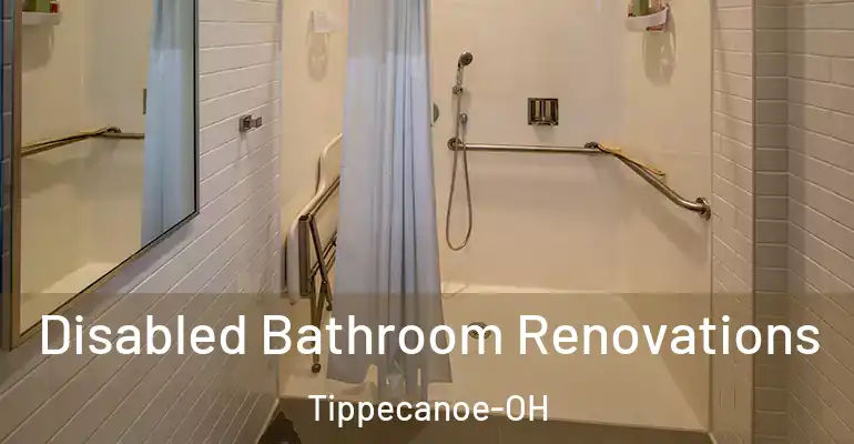 inner Bathroom imggen Disabled Bathroom Renovations Tippecanoe-OH