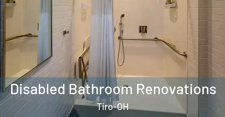 inner Bathroom imggen Disabled Bathroom Renovations Tiro-OH