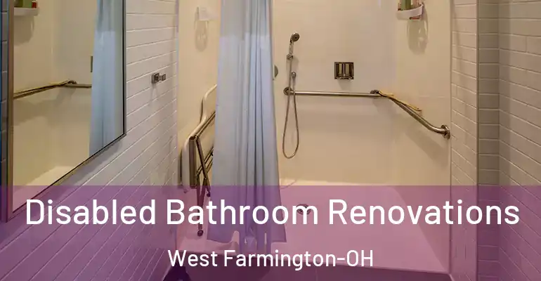 inner Bathroom imggen Disabled Bathroom Renovations West Farmington-OH