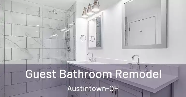 inner Bathroom imggen Guest Bathroom Remodel Austintown-OH