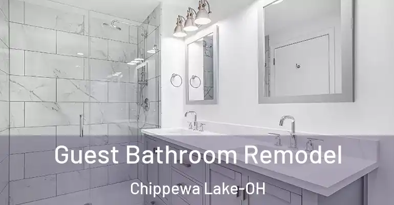 inner Bathroom imggen Guest Bathroom Remodel Chippewa Lake-OH