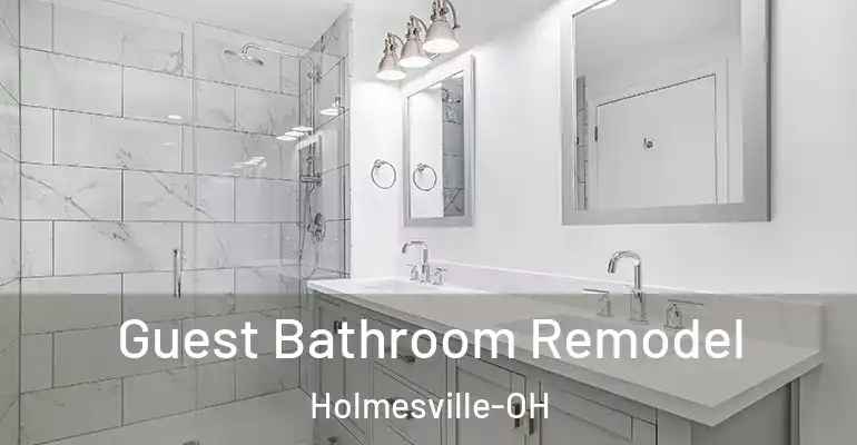 inner Bathroom imggen Guest Bathroom Remodel Holmesville-OH