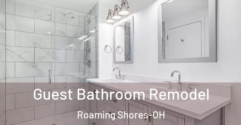 inner Bathroom imggen Guest Bathroom Remodel Roaming Shores-OH