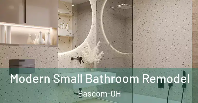 inner Bathroom imggen Modern Small Bathroom Remodel Bascom-OH