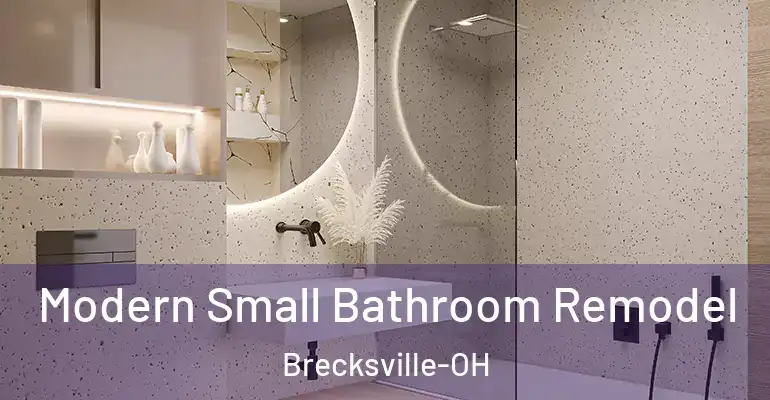inner Bathroom imggen Modern Small Bathroom Remodel Brecksville-OH