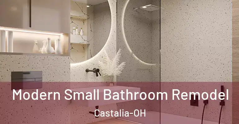 inner Bathroom imggen Modern Small Bathroom Remodel Castalia-OH