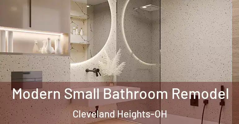 inner Bathroom imggen Modern Small Bathroom Remodel Cleveland Heights-OH