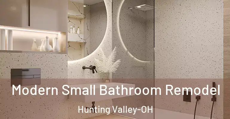 inner Bathroom imggen Modern Small Bathroom Remodel Hunting Valley-OH