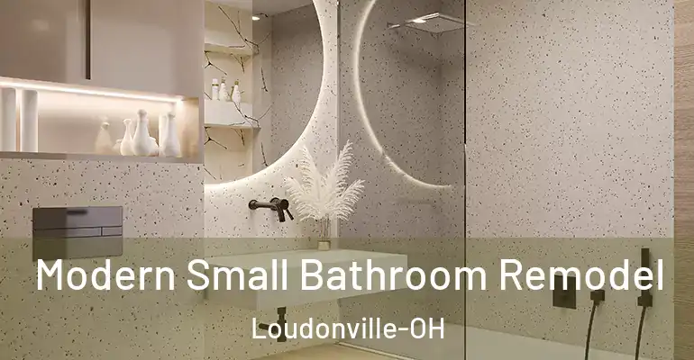 inner Bathroom imggen Modern Small Bathroom Remodel Loudonville-OH