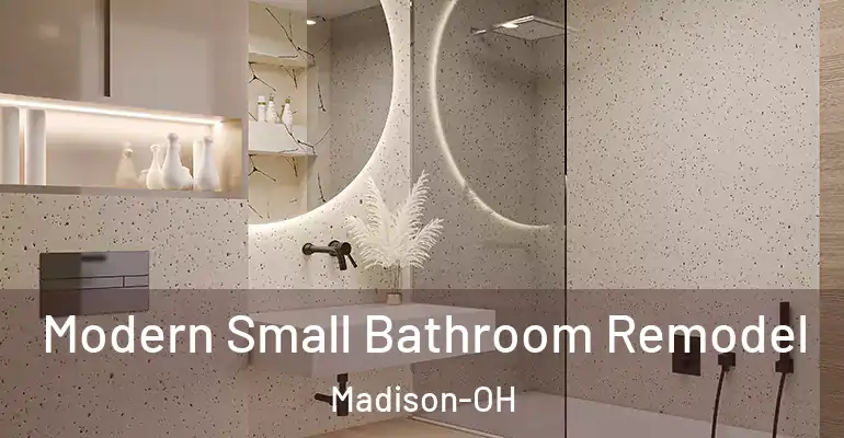 inner Bathroom imggen Modern Small Bathroom Remodel Madison-OH