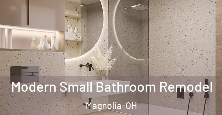 inner Bathroom imggen Modern Small Bathroom Remodel Magnolia-OH