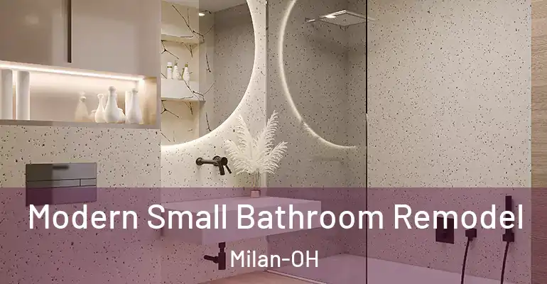 inner Bathroom imggen Modern Small Bathroom Remodel Milan-OH