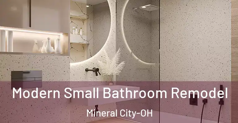 inner Bathroom imggen Modern Small Bathroom Remodel Mineral City-OH