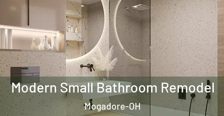inner Bathroom imggen Modern Small Bathroom Remodel Mogadore-OH