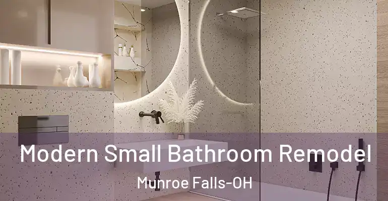 inner Bathroom imggen Modern Small Bathroom Remodel Munroe Falls-OH