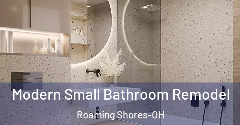 inner Bathroom imggen Modern Small Bathroom Remodel Roaming Shores-OH
