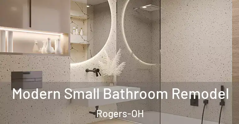 inner Bathroom imggen Modern Small Bathroom Remodel Rogers-OH