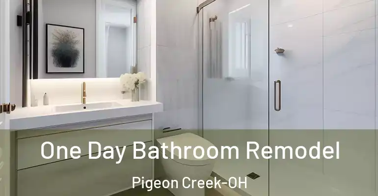 inner Bathroom imggen One Day Bathroom Remodel Pigeon Creek-OH