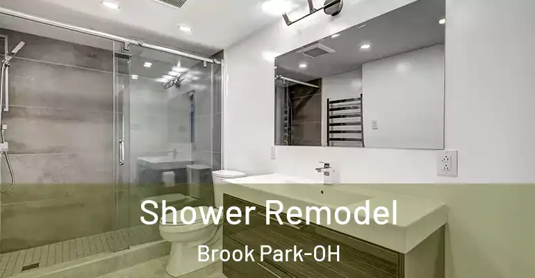 inner Bathroom imggen Shower Remodel Brook Park-OH