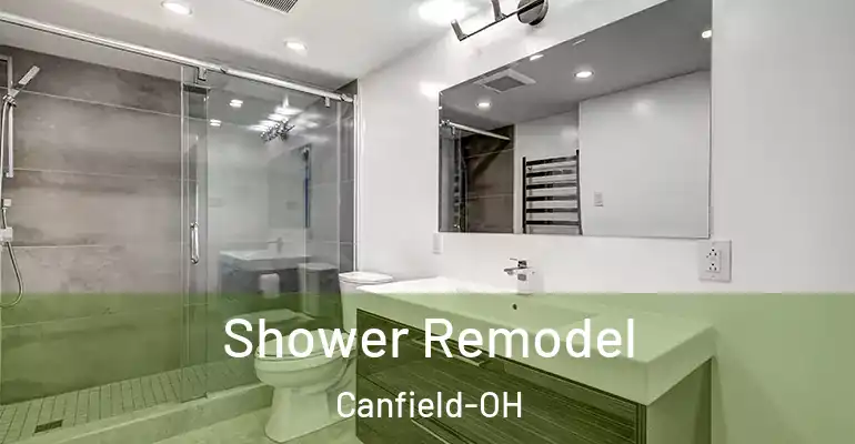 inner Bathroom imggen Shower Remodel Canfield-OH
