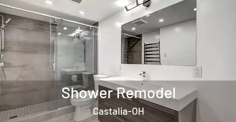 inner Bathroom imggen Shower Remodel Castalia-OH
