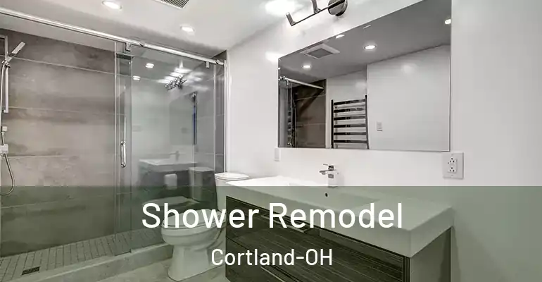 inner Bathroom imggen Shower Remodel Cortland-OH
