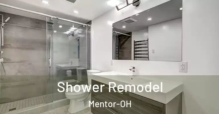 inner Bathroom imggen Shower Remodel Mentor-OH