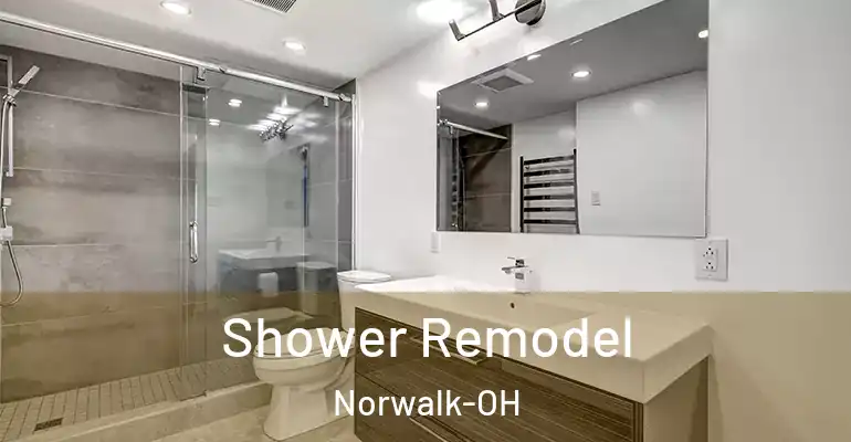 inner Bathroom imggen Shower Remodel Norwalk-OH
