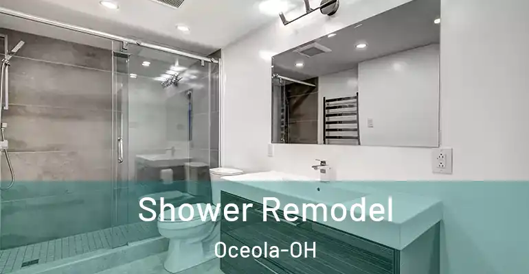 inner Bathroom imggen Shower Remodel Oceola-OH