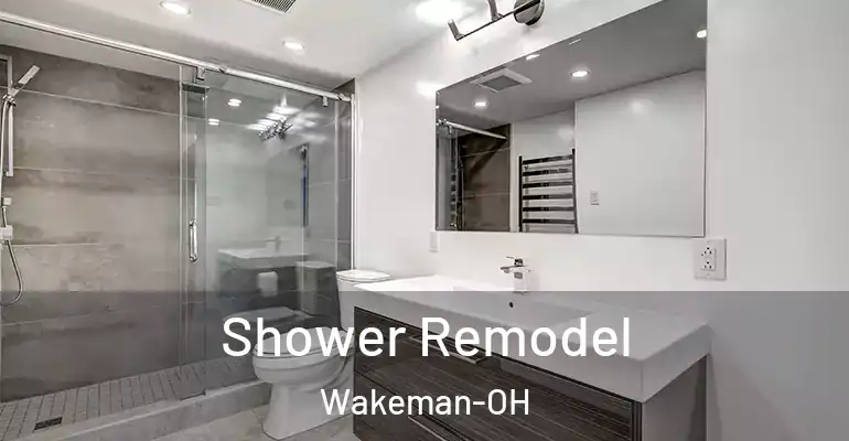 inner Bathroom imggen Shower Remodel Wakeman-OH
