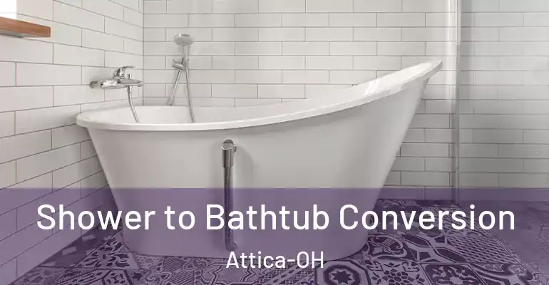 inner Bathroom imggen Shower to Bathtub Conversion Attica-OH