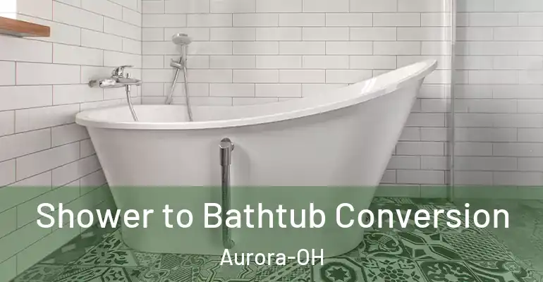 inner Bathroom imggen Shower to Bathtub Conversion Aurora-OH