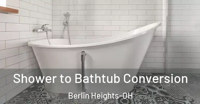 inner Bathroom imggen Shower to Bathtub Conversion Berlin Heights-OH