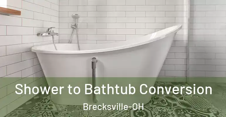 inner Bathroom imggen Shower to Bathtub Conversion Brecksville-OH