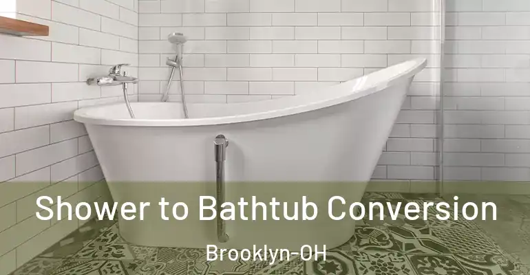 inner Bathroom imggen Shower to Bathtub Conversion Brooklyn-OH