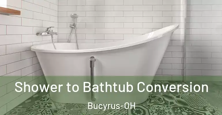inner Bathroom imggen Shower to Bathtub Conversion Bucyrus-OH