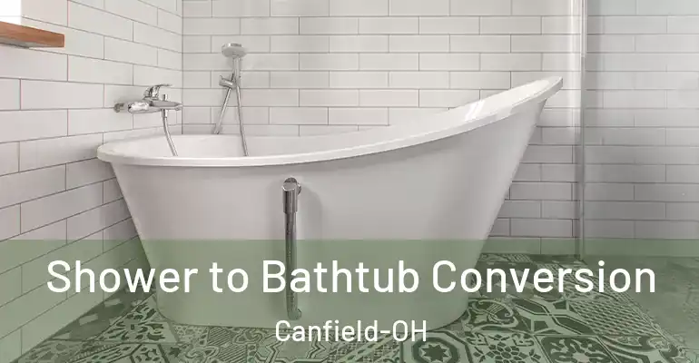 inner Bathroom imggen Shower to Bathtub Conversion Canfield-OH