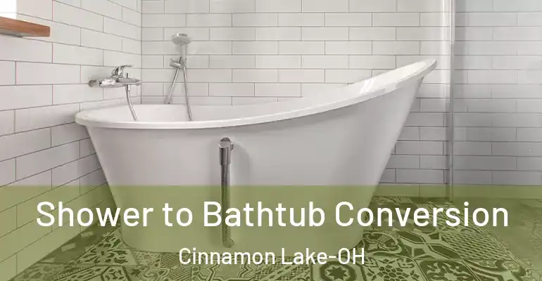 inner Bathroom imggen Shower to Bathtub Conversion Cinnamon Lake-OH