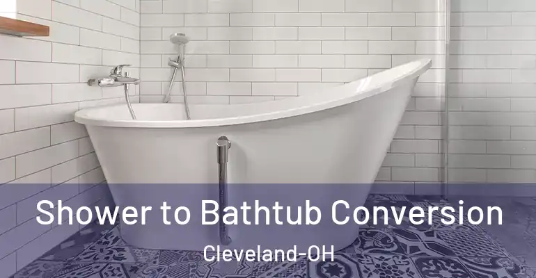 inner Bathroom imggen Shower to Bathtub Conversion Cleveland-OH