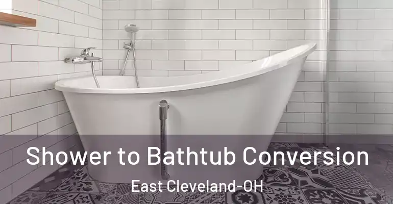 inner Bathroom imggen Shower to Bathtub Conversion East Cleveland-OH