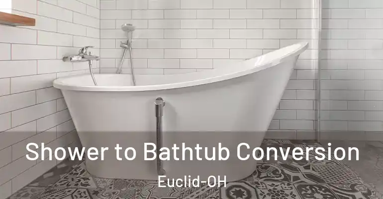 inner Bathroom imggen Shower to Bathtub Conversion Euclid-OH