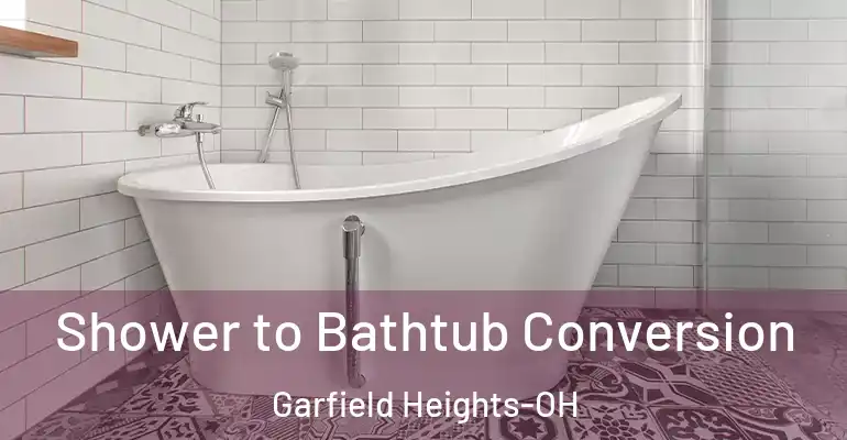 inner Bathroom imggen Shower to Bathtub Conversion Garfield Heights-OH