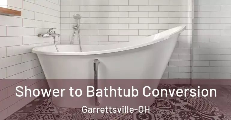 inner Bathroom imggen Shower to Bathtub Conversion Garrettsville-OH