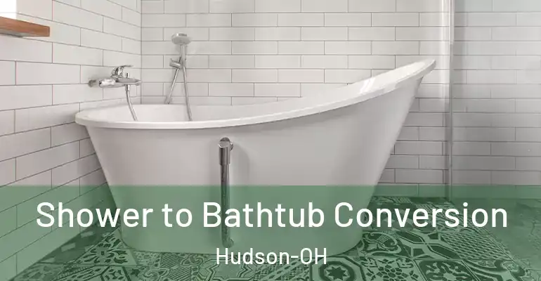 inner Bathroom imggen Shower to Bathtub Conversion Hudson-OH