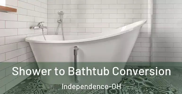 inner Bathroom imggen Shower to Bathtub Conversion Independence-OH