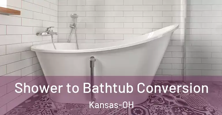 inner Bathroom imggen Shower to Bathtub Conversion Kansas-OH