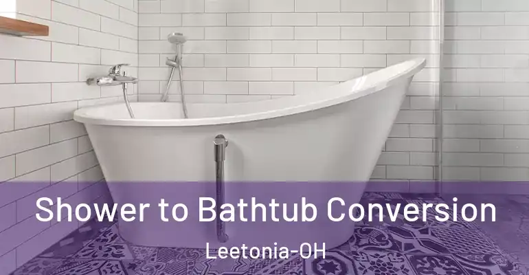 inner Bathroom imggen Shower to Bathtub Conversion Leetonia-OH
