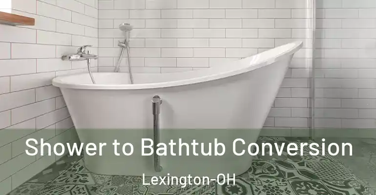 inner Bathroom imggen Shower to Bathtub Conversion Lexington-OH